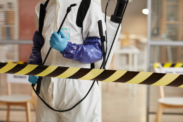 Professional Sewage Cleanup technician working in Straughn, IN